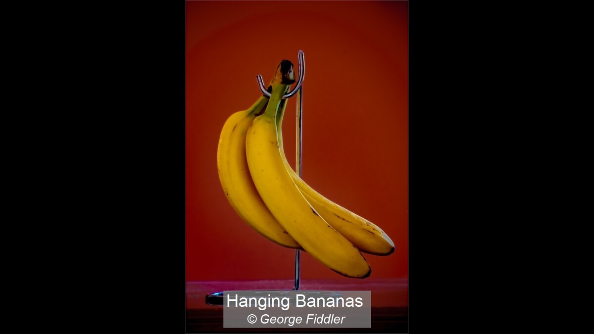Hanging Bananas